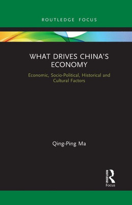 What Drives ChinaÆs Economy (Routledge Focus on Economics and Finance)