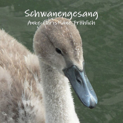 Schwanengesang (German Edition)