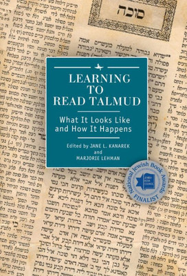 Learning To Read Talmud: What It Looks Like And How It Happens