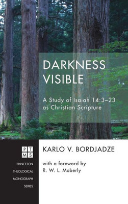 Darkness Visible (228) (Princeton Theological Monograph)