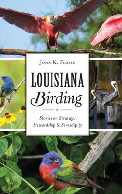 Louisiana Birding: Stories On Strategy, Stewardship And Serendipity