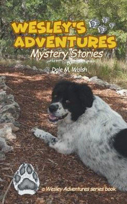 Wesley'S Adventures: Mystery Stories (Wesley'S Adventure Stories)