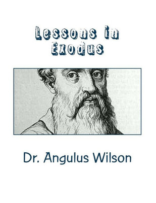 Lessons In Exodus: Bible Study Workbook