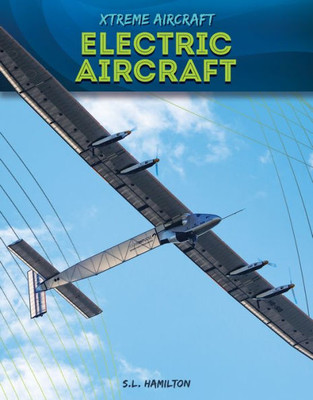 Electric Aircraft (Xtreme Aircraft)