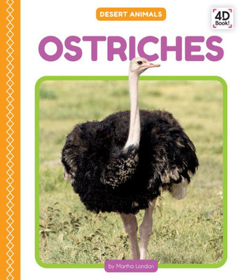 Ostriches (Desert Animals)