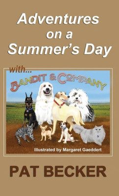 Adventures On A Summer'S Day: (First Of The Bandit And Company Series)