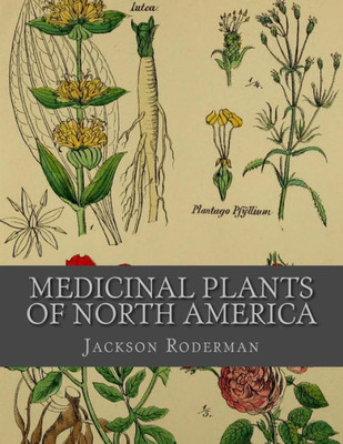 Medicinal Plants Of North America