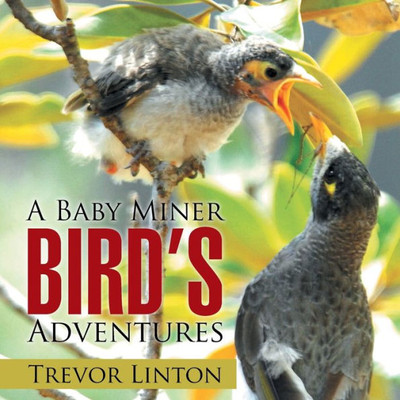 A Baby Miner BirdS Adventures