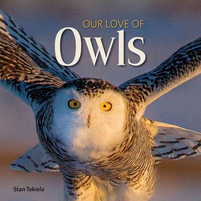 Our Love Of Owls (Our Love Of Wildlife)