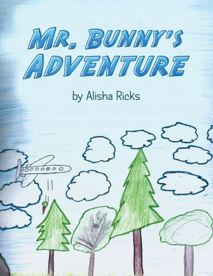 Mr. BunnyS Adventure