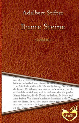 Bunte Steine - Großdruck (German Edition)