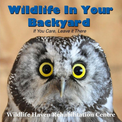 Wildlife In Your Backyard: If You Care - Leave It There!