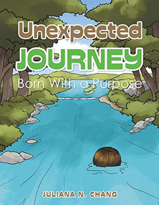 Unexpected Journey: Born With a Purpose - Paperback