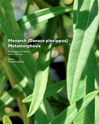 Monarch (Danaus plexippus) Metamorphosis