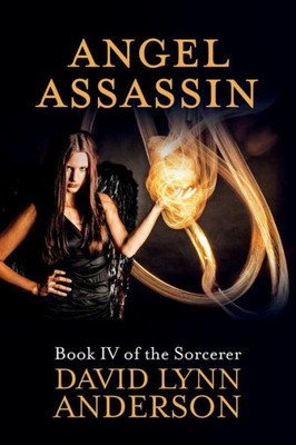 Angel Assassin: Book Iv Of The Sorcerer