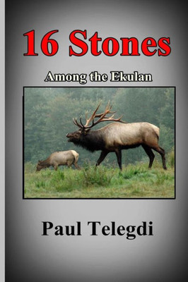 16 Stones: Among The Ekulan (Stones Series)