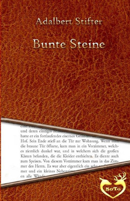 Bunte Steine (German Edition)