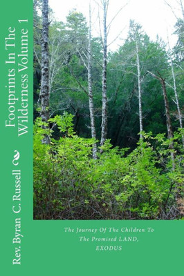 Footprints In The Wilderness Volume 1: The Journey Of The Children To The Promised Land