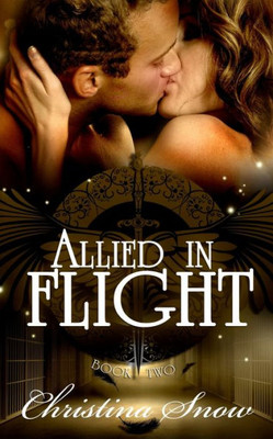 Allied In Flight (Through The Veil)