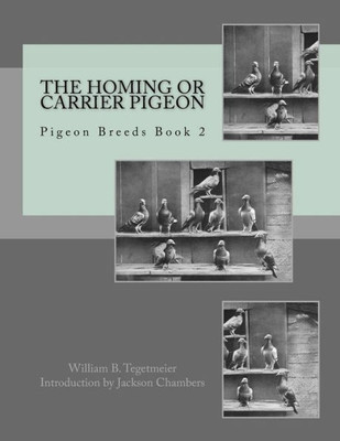 The Homing Or Carrier Pigeon: Pigeon Breeds Book 2