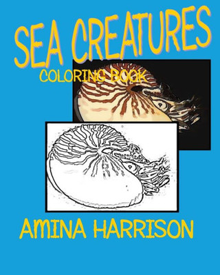 Sea Creatures: Coloring Book