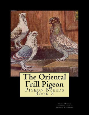 The Oriental Frill Pigeon: Pigeon Breeds Book 5