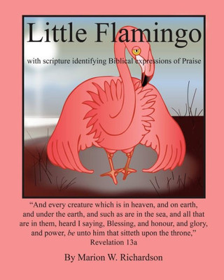 Little Flamingo: Identifying Biblical Expressions Of Praise (The Littles)