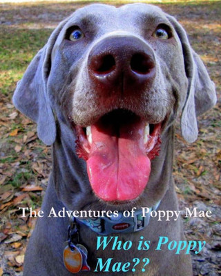 The Adventures Of Poppy Mae: Who Is Poppy Mae?