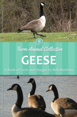 Geese (Farm Animal Collection)