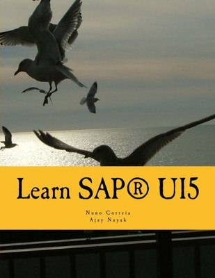 Learn Sapui5: The New Enterprise Javascript Framework With Examples
