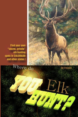 Where Do You Hunt Elk?: Find Elk In Colorado