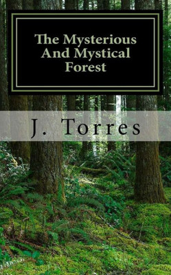 The Mysterious And Mystical Forest