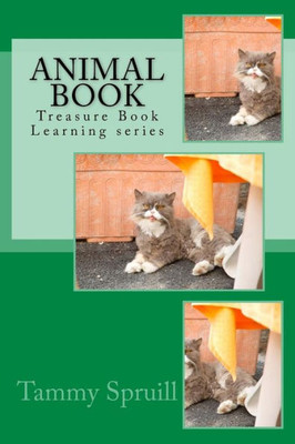 Animal Book: Treasure Book Learning Series
