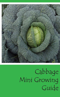 Cabbage Mini Growing Guide (Grow Vegetables In Your Garden Series)