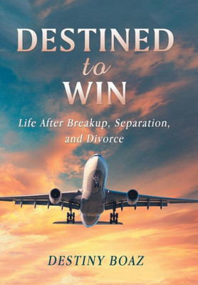 Destined To Win: Life After Breakup, Separation, And Divorce