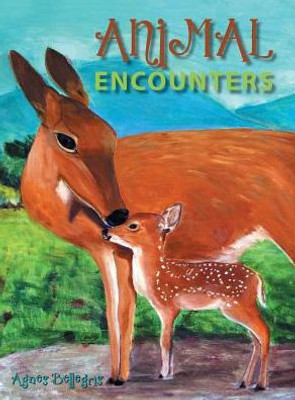 Animal Encounters