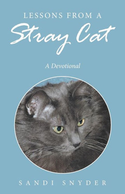 Lessons From A Stray Cat