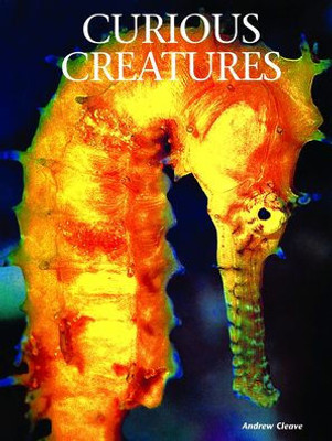 Curious Creatures (Creatures Of The Ocean)