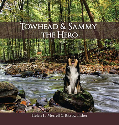 Towhead and Sammy The Hero - Hardcover