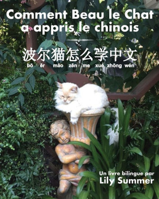 Comment Beau Le Chat A Appris Le Chinois: Un Livre Bilingue (French Edition)