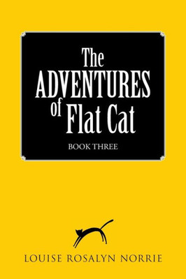 The Adventures Of Flat Cat