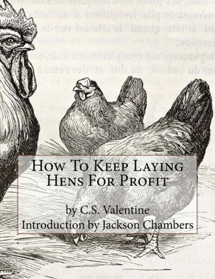 How To Keep Laying Hens For Profit