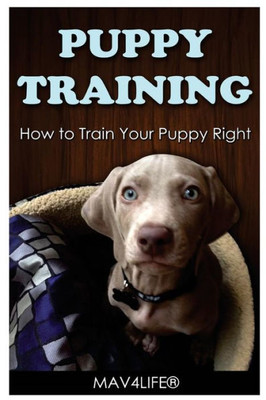Puppy Training: How To Train Your Puppy Right!