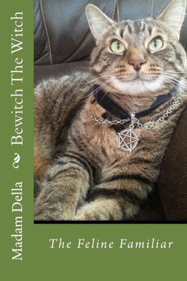 Bewitch The Witch: The Feline Familiar