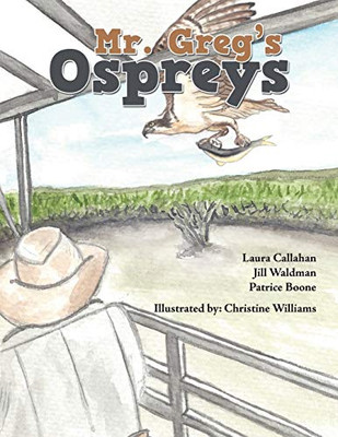 Mr. Greg's Ospreys - Paperback