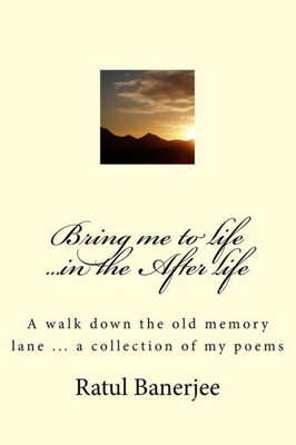 Bring Me To Life ...In The After Life