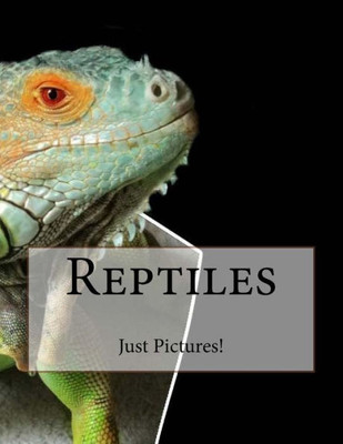 Reptiles