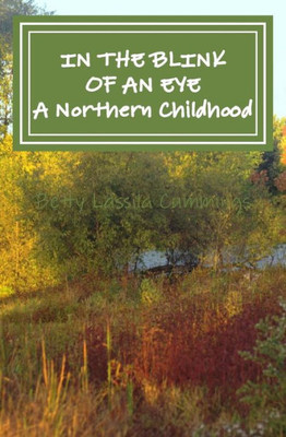 In The Blink Of An Eye: A Northern Childhood