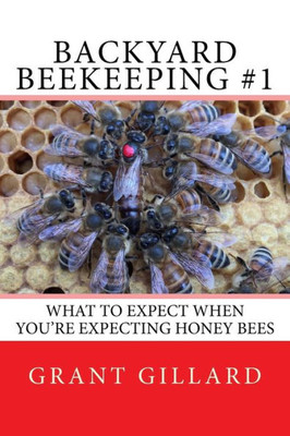 Backyard Beekeeping #1: What To Expect When You'Re Expecting Honey Bees