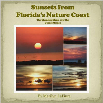 Sunsets From Florida'S Nature Coast: The Changing Skies Over The Gulf Of Mexico